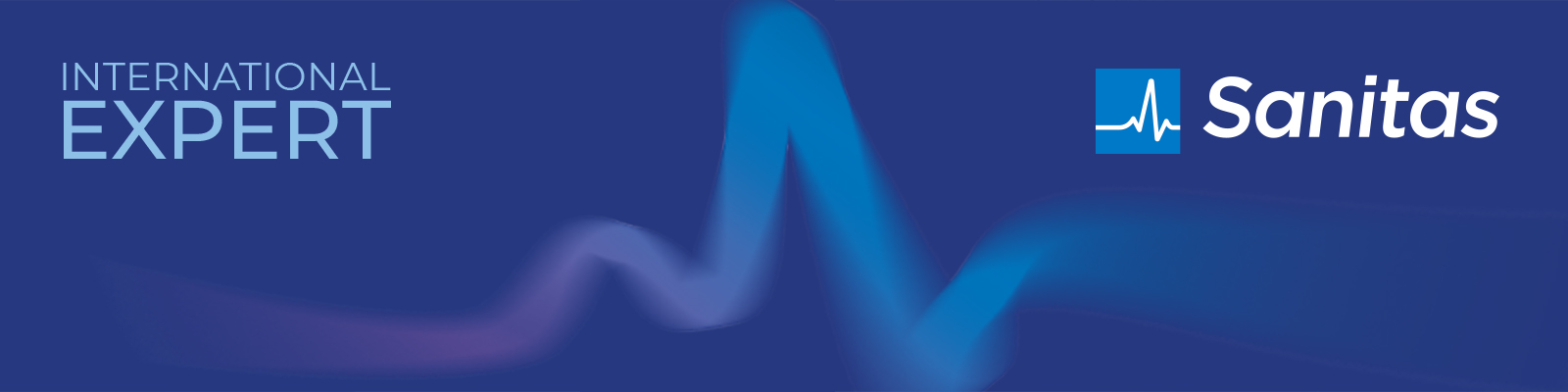 Acreditación International Expert